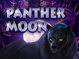 Panter Moon